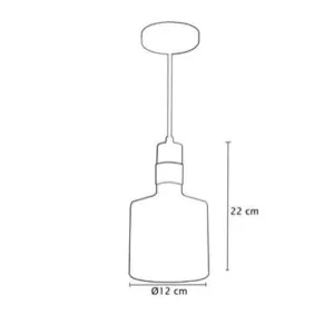 Diagram of a tall bottle with a long neck, showing base diameter 12 cm and total height 22 cm.